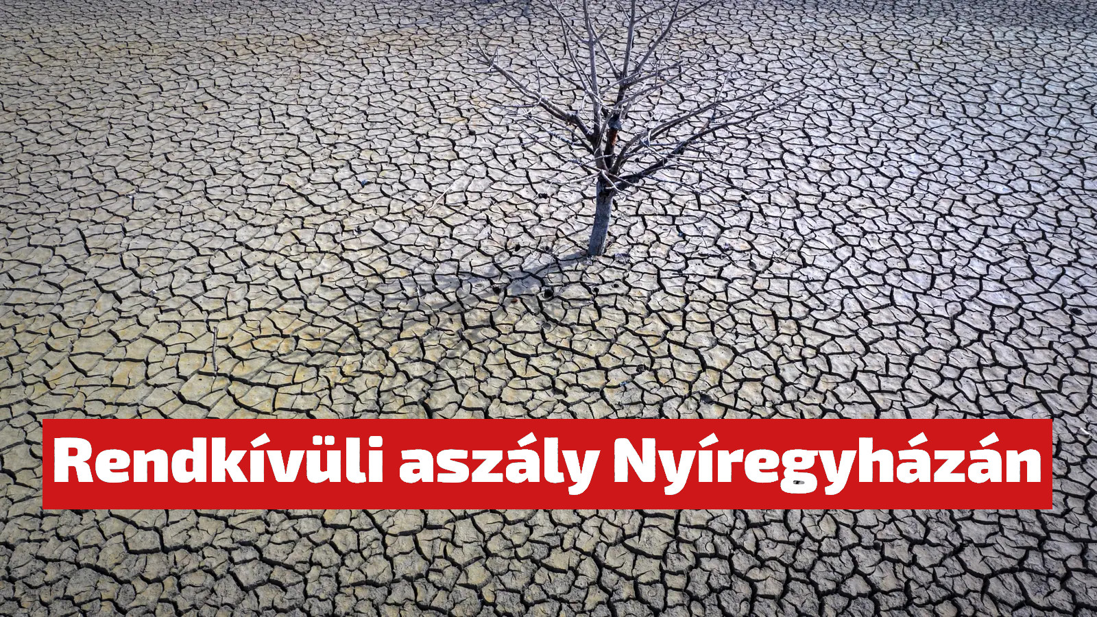 Aszály Nyíregyházán