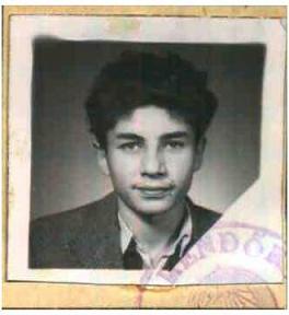 Dandos Gyula